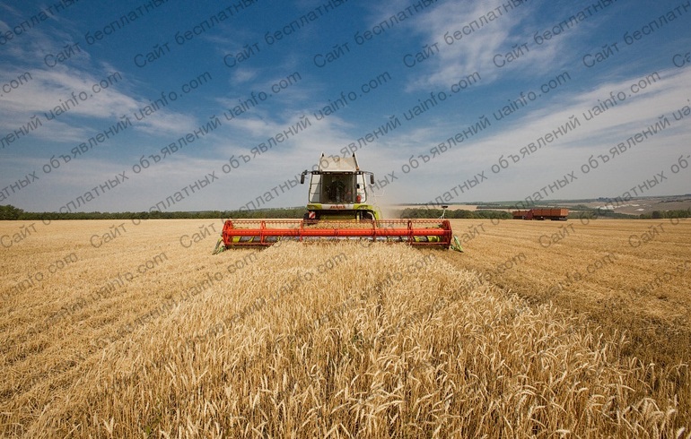 Фото: Продам сельхозпредприятие в Полтавской области, Украина