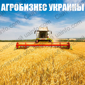 Фото: Зерновые, бобовые, масличные 2016 - фермерские хозяйства Украины!