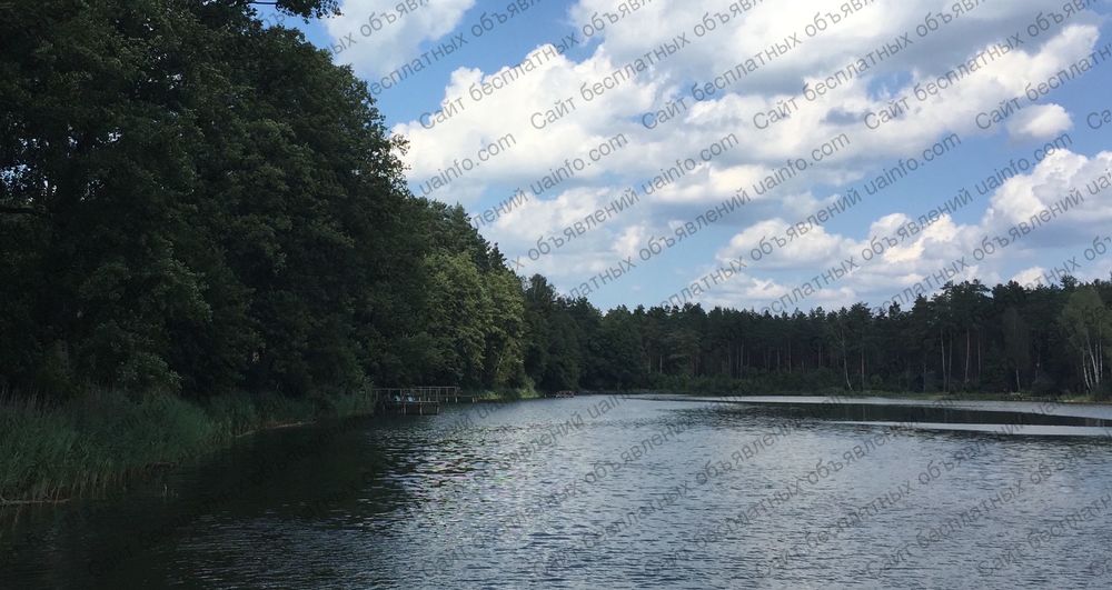 Фото: Турфирму в литве с 3 га леса у озера в друскининкай, для внж!