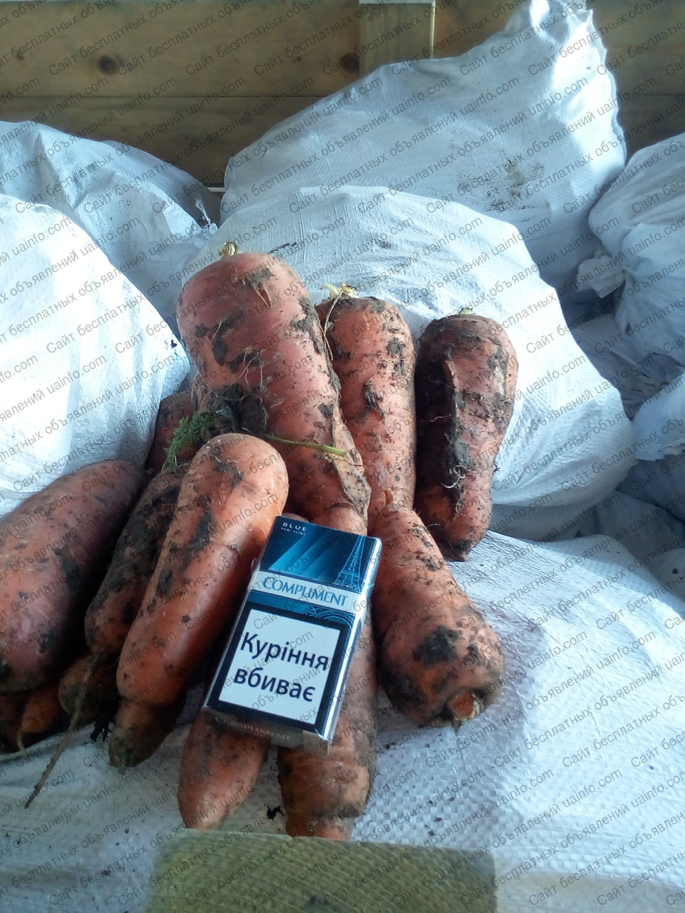 Фото: Продам морковь 