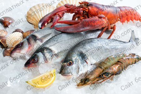 Фото: Рыба, морепродукты оптом и в розницу