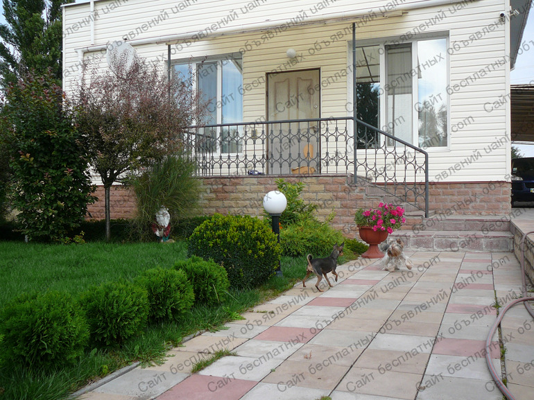 Фото: Отель для собак мелких пород, ясли для щенков, передержка собак в Запорожье