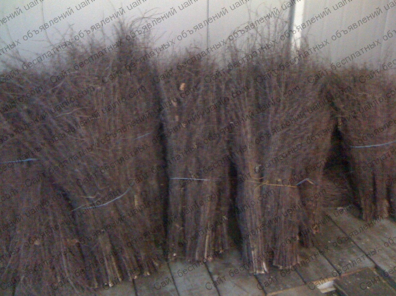 Фото: Изготавливаем и продаем метлы, веники в Житомире