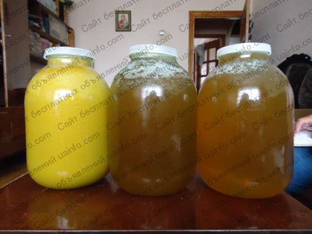 Фото: Продам натуральный мед(майский и липовый) 